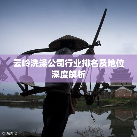 云嶺洗滌公司行業排名及地位深度解析