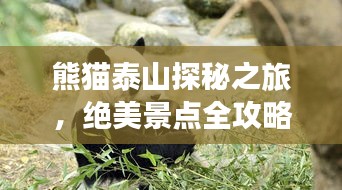 熊貓?zhí)┥教矫刂茫^美景點(diǎn)全攻略！