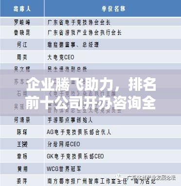 企業騰飛助力，排名前十公司開辦咨詢全解析