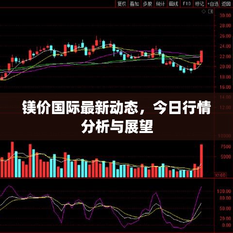鎂價國際最新動態，今日行情分析與展望