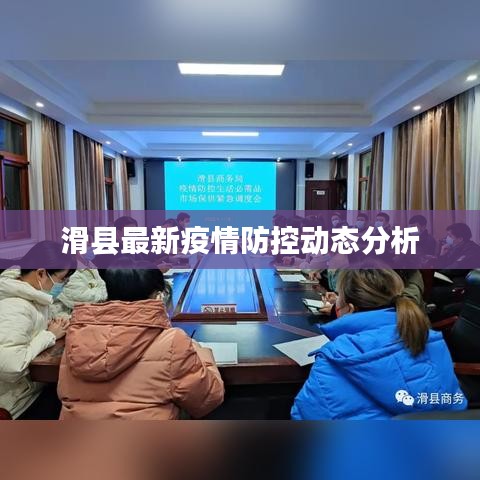 窮鳥入懷