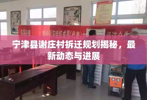 寧津縣謝莊村拆遷規劃揭秘，最新動態與進展