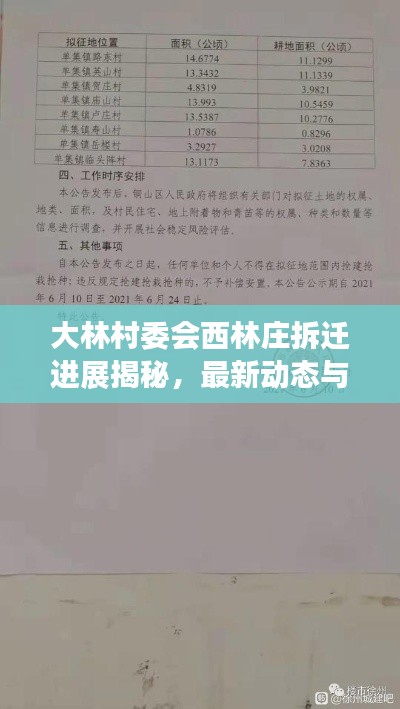 大林村委會西林莊拆遷進展揭秘，最新動態與消息匯總