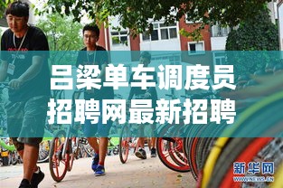 呂梁單車調度員招聘網最新招聘動態速遞
