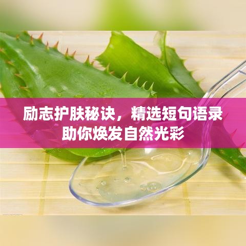 勵志護膚秘訣，精選短句語錄助你煥發自然光彩