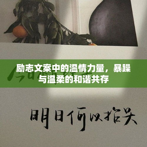 勵志文案中的溫情力量，暴躁與溫柔的和諧共存
