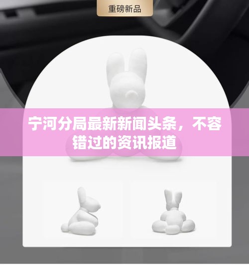 寧河分局最新新聞?lì)^條，不容錯(cuò)過(guò)的資訊報(bào)道