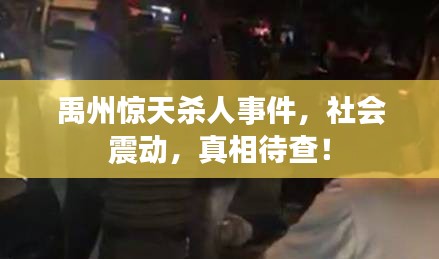 禹州驚天殺人事件，社會震動，真相待查！