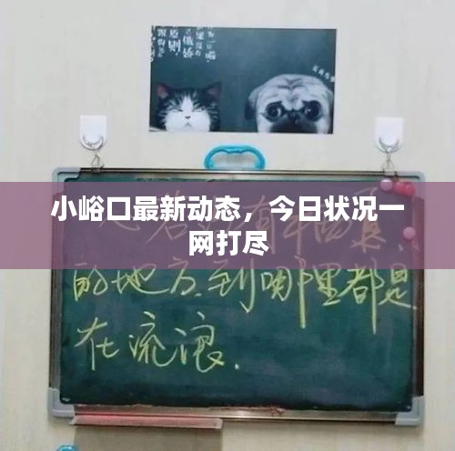 小峪口最新動態(tài)，今日狀況一網(wǎng)打盡