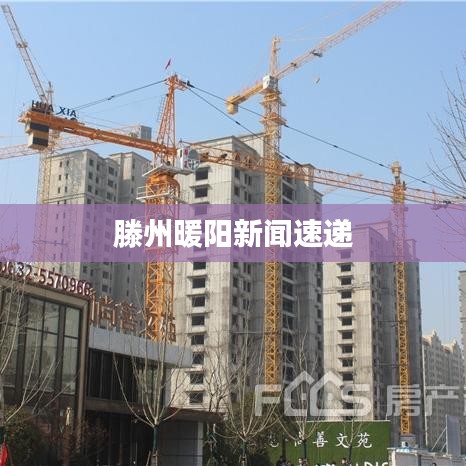 滕州暖陽新聞速遞