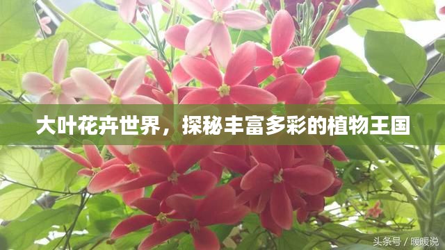 大葉花卉世界，探秘豐富多彩的植物王國