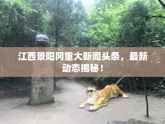 江西景陽岡重大新聞頭條，最新動態揭秘！