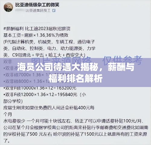 海員公司待遇大揭秘，薪酬與福利排名解析