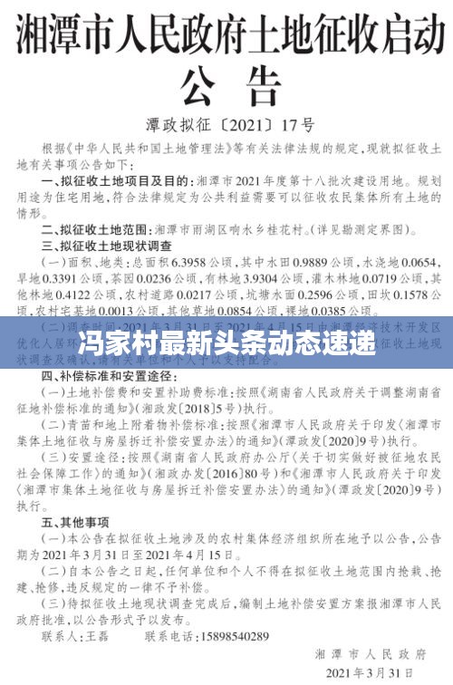 馮家村最新頭條動態速遞