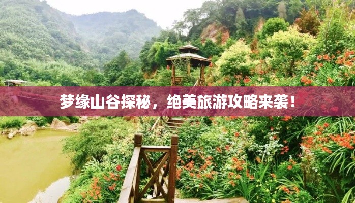 夢緣山谷探秘，絕美旅游攻略來襲！