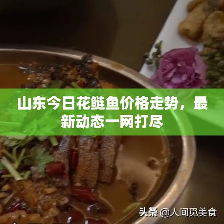 山東今日花鰱魚價格走勢，最新動態一網打盡