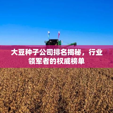 大豆種子公司排名揭秘，行業領軍者的權威榜單