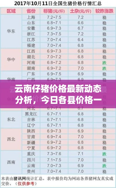 云南仔豬價格最新動態(tài)分析，今日各縣價格一覽