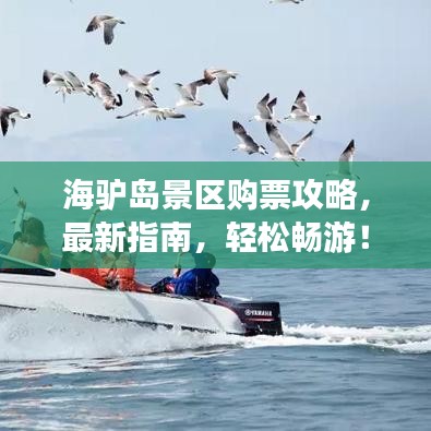海驢島景區(qū)購票攻略，最新指南，輕松暢游！