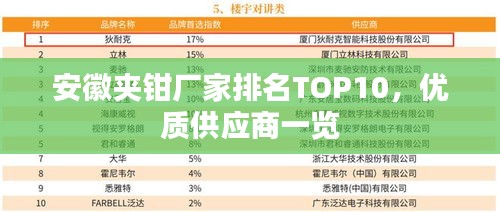 安徽夾鉗廠家排名TOP10，優質供應商一覽