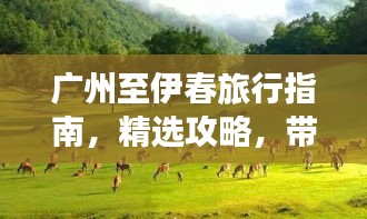 廣州至伊春旅行指南，精選攻略，帶你暢游兩地美景！