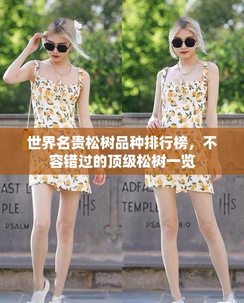 世界名貴松樹品種排行榜，不容錯過的頂級松樹一覽