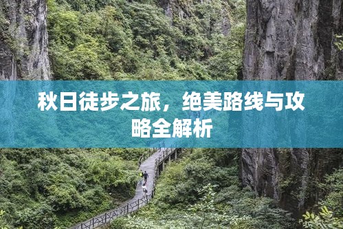 秋日徒步之旅，絕美路線與攻略全解析