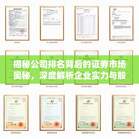 揭秘公司排名背后的證券市場奧秘，深度解析企業實力與股市表現！
