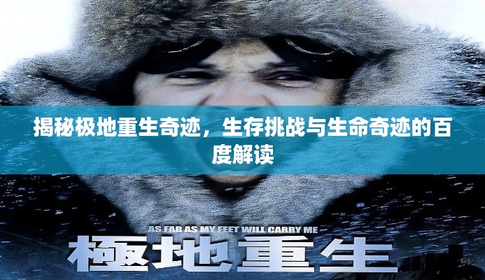 揭秘極地重生奇跡，生存挑戰與生命奇跡的百度解讀