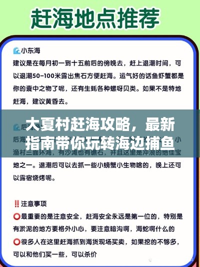 大夏村趕海攻略，最新指南帶你玩轉海邊捕魚！