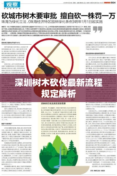 深圳樹木砍伐最新流程規定解析