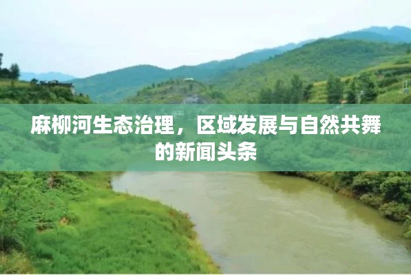麻柳河生態治理，區域發展與自然共舞的新聞頭條