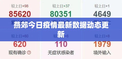 燕郊今日疫情最新數據動態更新