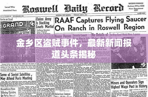 金鄉區盜賊事件，最新新聞報道頭條揭秘