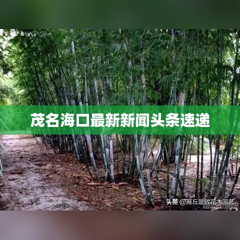 懷真抱素