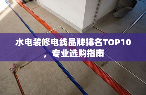 觀往知來