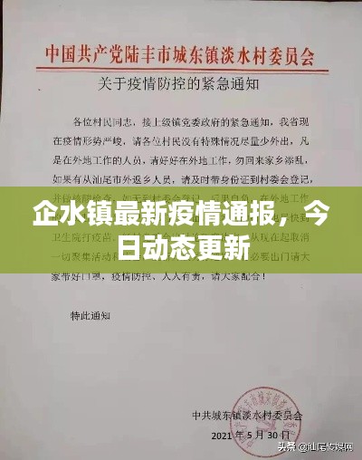 張張屈屈
