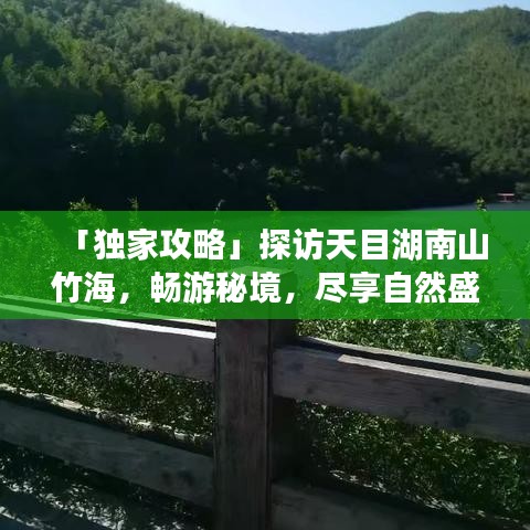 「獨家攻略」探訪天目湖南山竹海，暢游秘境，盡享自然盛宴！