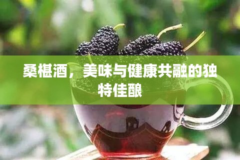 桑椹酒，美味與健康共融的獨特佳釀