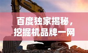 百度獨家揭秘，挖掘機品牌一網打盡，深度解析！