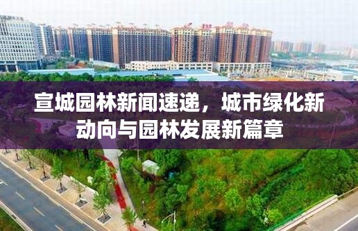 宣城園林新聞速遞，城市綠化新動向與園林發展新篇章