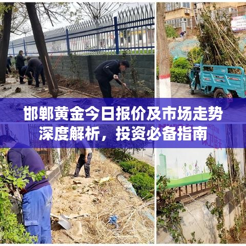 邯鄲黃金今日報(bào)價(jià)及市場走勢深度解析，投資必備指南