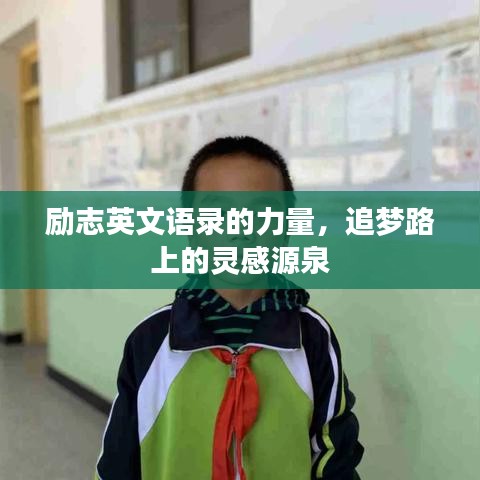 新聞中心 第5頁(yè)