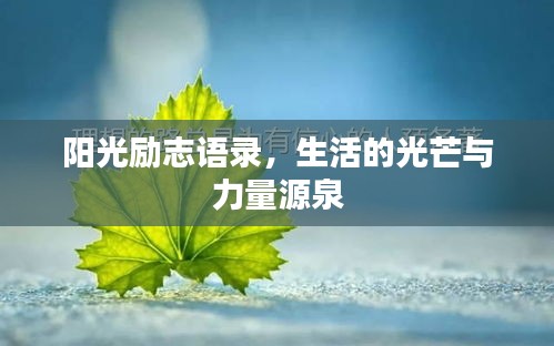 陽光勵志語錄，生活的光芒與力量源泉